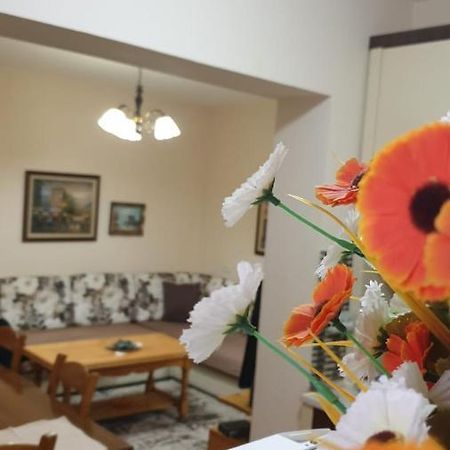 Valentina'S Apartment Tirana Zewnętrze zdjęcie