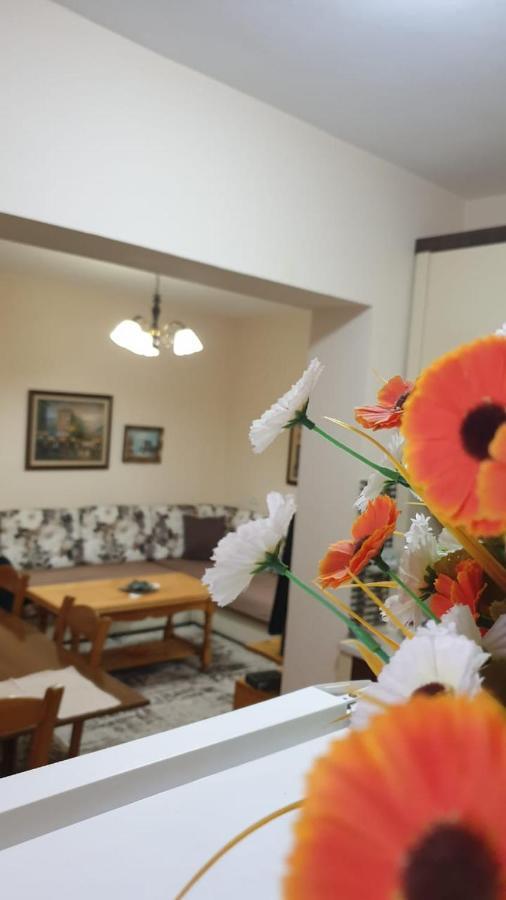 Valentina'S Apartment Tirana Zewnętrze zdjęcie